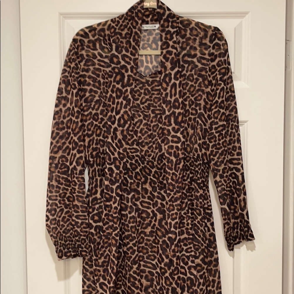 Zara Leopard Print Chiffon Dress